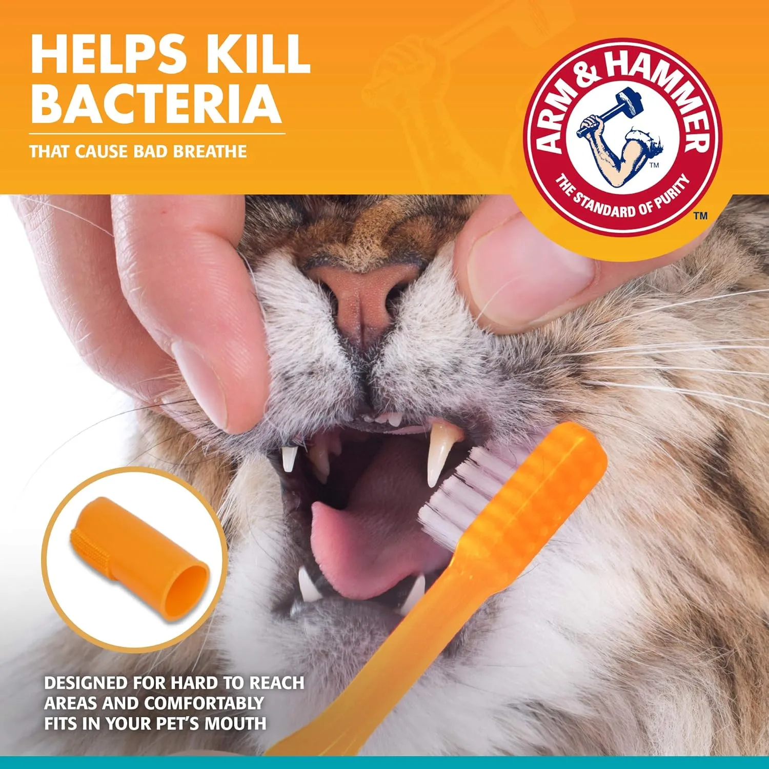 Arm & Hammer for Pets Dental Kit for Cats | Eliminates Bad Breath | 3 Piece Set Includes Cat Toothpaste, Cat Toothbrush & Cat Fingerbrush in Tasty Tuna Flavor, 2.5 Oz (Pack of 12)