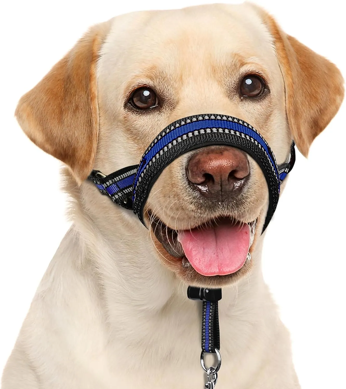 BARKLESS Soft Dog Head Collar, Patented Padded No Pull Head Halter, Training Nose Leash with Safety Link for Medium Large Dogs, Adjustable Muzzle Leash, Easy Control for Walking(Blue, M)
