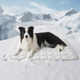 Bedsure Cooling Mat for Large Dogs  41x28 Thin Washable Cooling Pet Pad for Puppy, QMAX>0.5, XL Portable Kennel Puppy Bed for Summer, Non-Slip Summer Crate Pad for Big Dog Up to 80 lbs