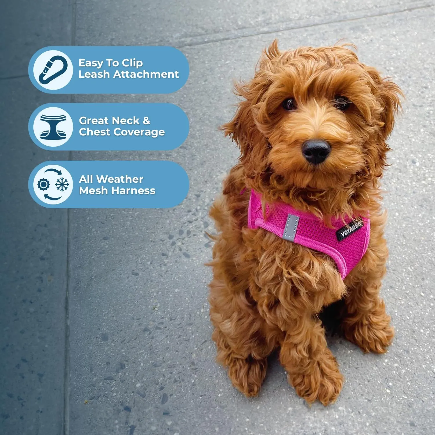 Best Pet Supplies Voyager Step-in Air Dog Harness - All Weather Mesh, Reflective, No Pull Harness for Small, Medium Dogs, Cats - Secure with Hook & Loop Fastener, Buckle, Double D-Rings - Fuchsia, M