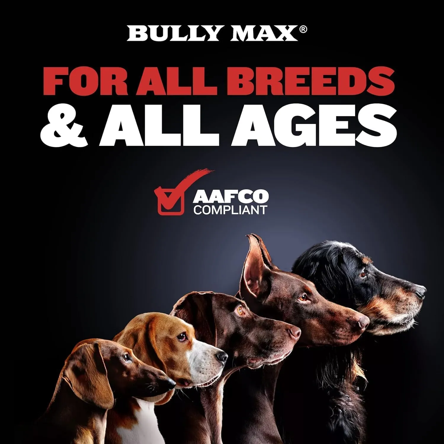 Bully Max 2-in-1 Muscle Builder Chewable Tablets for Puppies & Adult Dogs - Puppy & Dog Vitamins & Supplements for Muscle Gain & Growth - Ultimate Canine Multivitamins for All Breeds & Ages - 60 Tabs