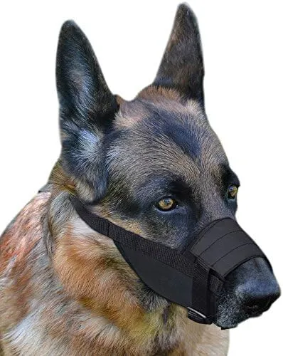 CollarDirect 2-PCs Set Dog Muzzles - Adjustable Soft Breathable Nylon Dog Mouth Guard Cover for Small, Medium and Large Dogs, Anti Chewing, Barking & Biting - Black & Red (1Black & 1Red, M/L)