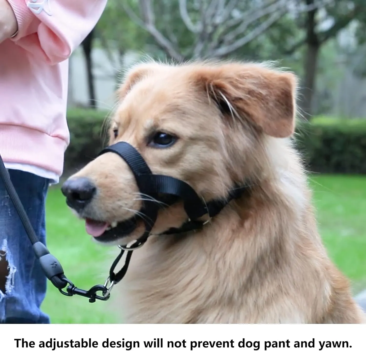 Dog Head Collar, No Pull Head Harness with Soft Nylon, Adjustable Head Leash for Small Medium Large Dogs (S,Apple Green)