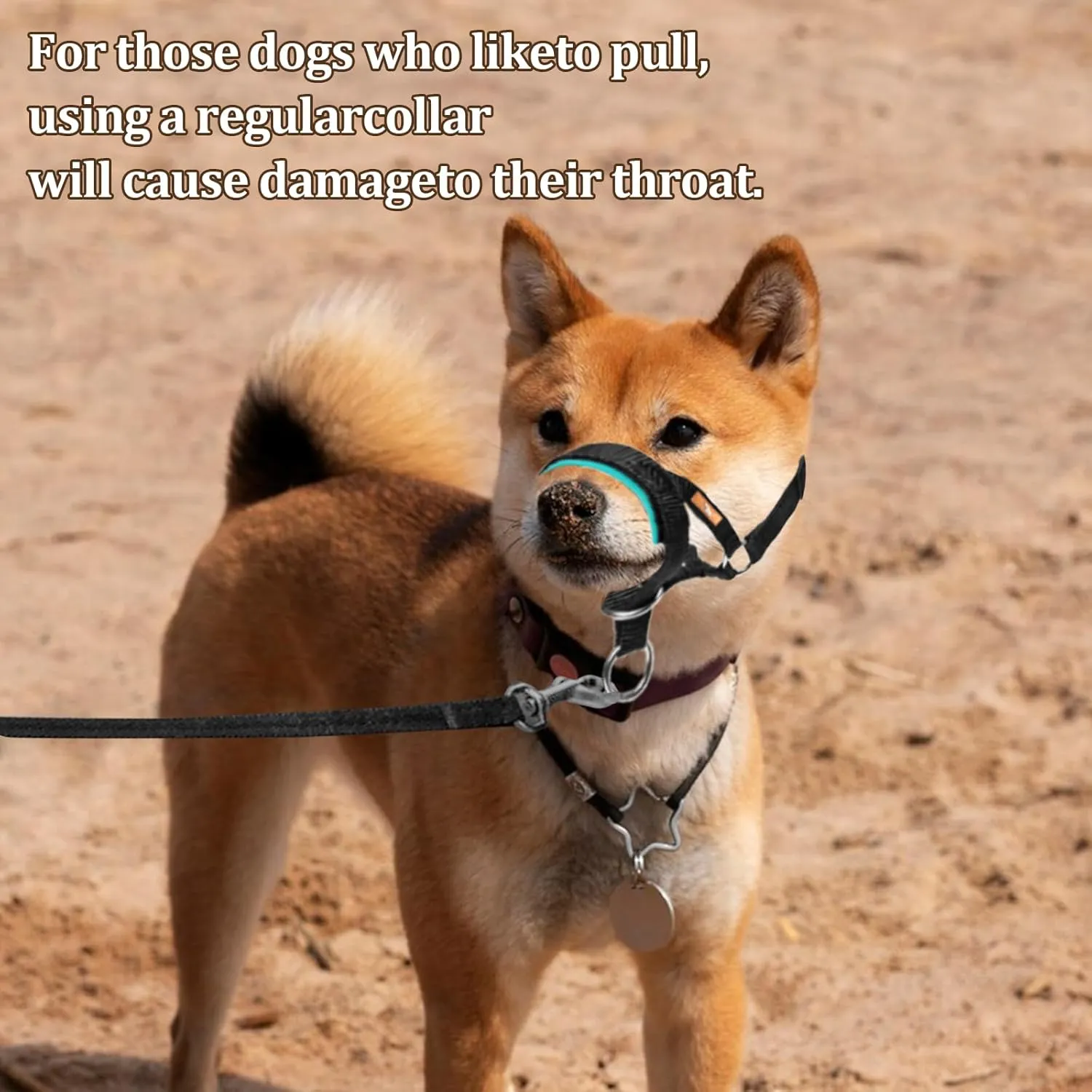 Dog Head Collar, No Pull Head Harness with Soft Nylon, Adjustable Head Leash for Small Medium Large Dogs (S,Apple Green)