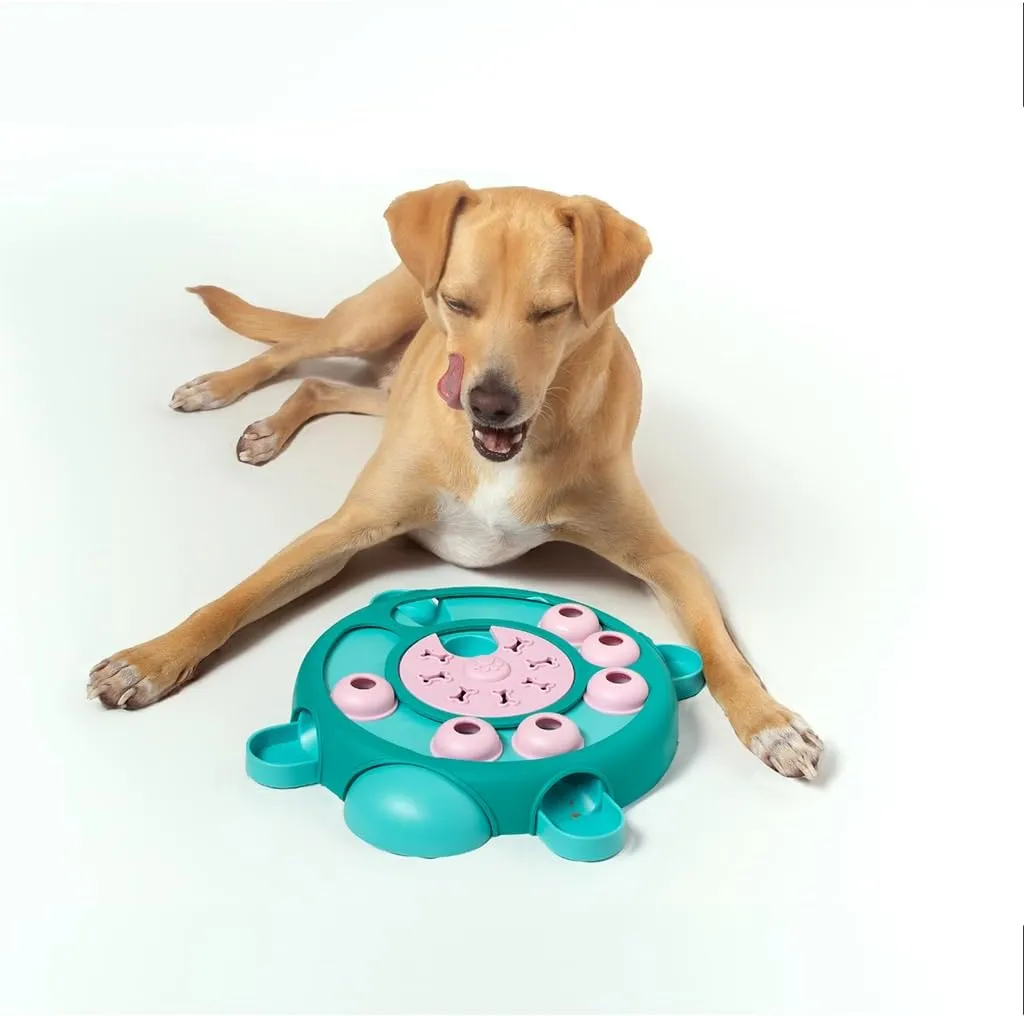 Friends Forever Dog Puzzles Toys with Slower Feeder, Interactive Toy with Food Puzzle for Stimulation and Treat Training Game, Treat Dispenser Toys for Dogs, Tortoise Puzzle