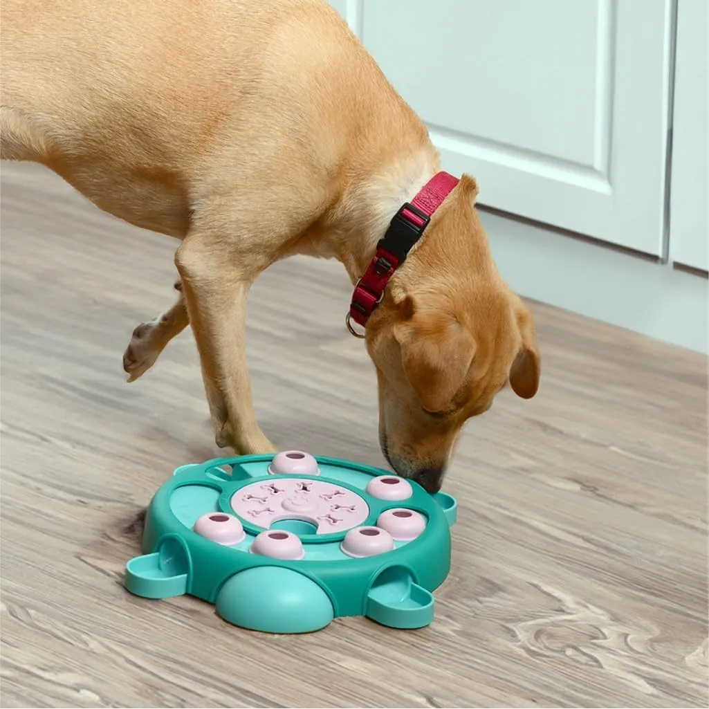 Friends Forever Dog Puzzles Toys with Slower Feeder, Interactive Toy with Food Puzzle for Stimulation and Treat Training Game, Treat Dispenser Toys for Dogs, Tortoise Puzzle