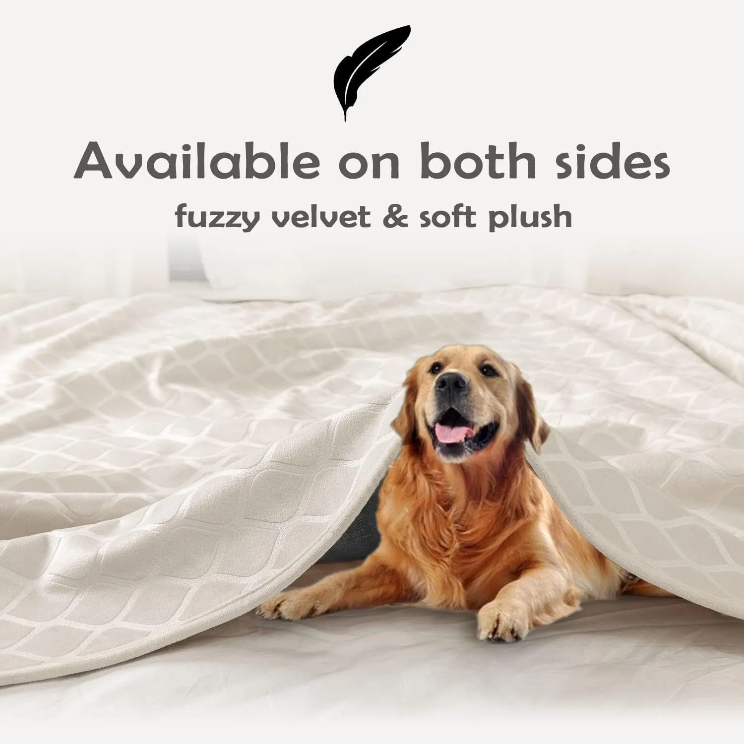 fuguitex Waterproof Dog Blanket Bed Cover Dog Crystal Velvet Moroccan Fuzzy Cozy Plush Pet Blanket Throw Blanket for Couch Sofa(40 * 60 inch, Cream Beige)