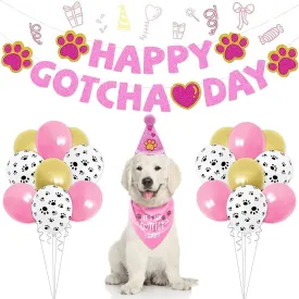 Gotcha Day  - Gotcha Day  It's My Gotcha Day -