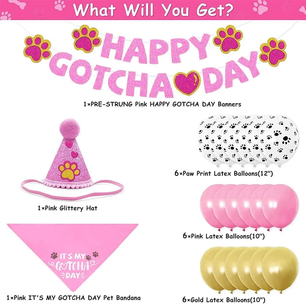 Gotcha Day  - Gotcha Day  It's My Gotcha Day -