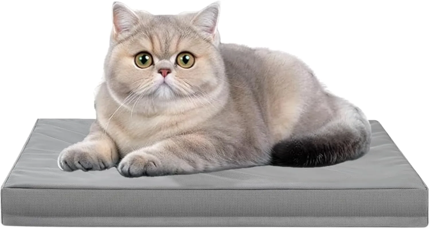 Indestructible Dog Bed - Memory Foam Dog Kennel Pad for Small Dogs & Cats, Waterproof Durable Oxford Fabric Puppy Bed with Removable Washable Cover & Non-Slip Bottom, 20"x15"x3", Grey