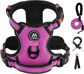 IVY&LANE No Pull Dog Harness for Medium Dogs,Dog Vest Harness with Leash,Safety Belt and Storage Strap, Fully Adjustable Harness,360 Reflective Strip,Soft Handle (Fuchsia Pink,M)