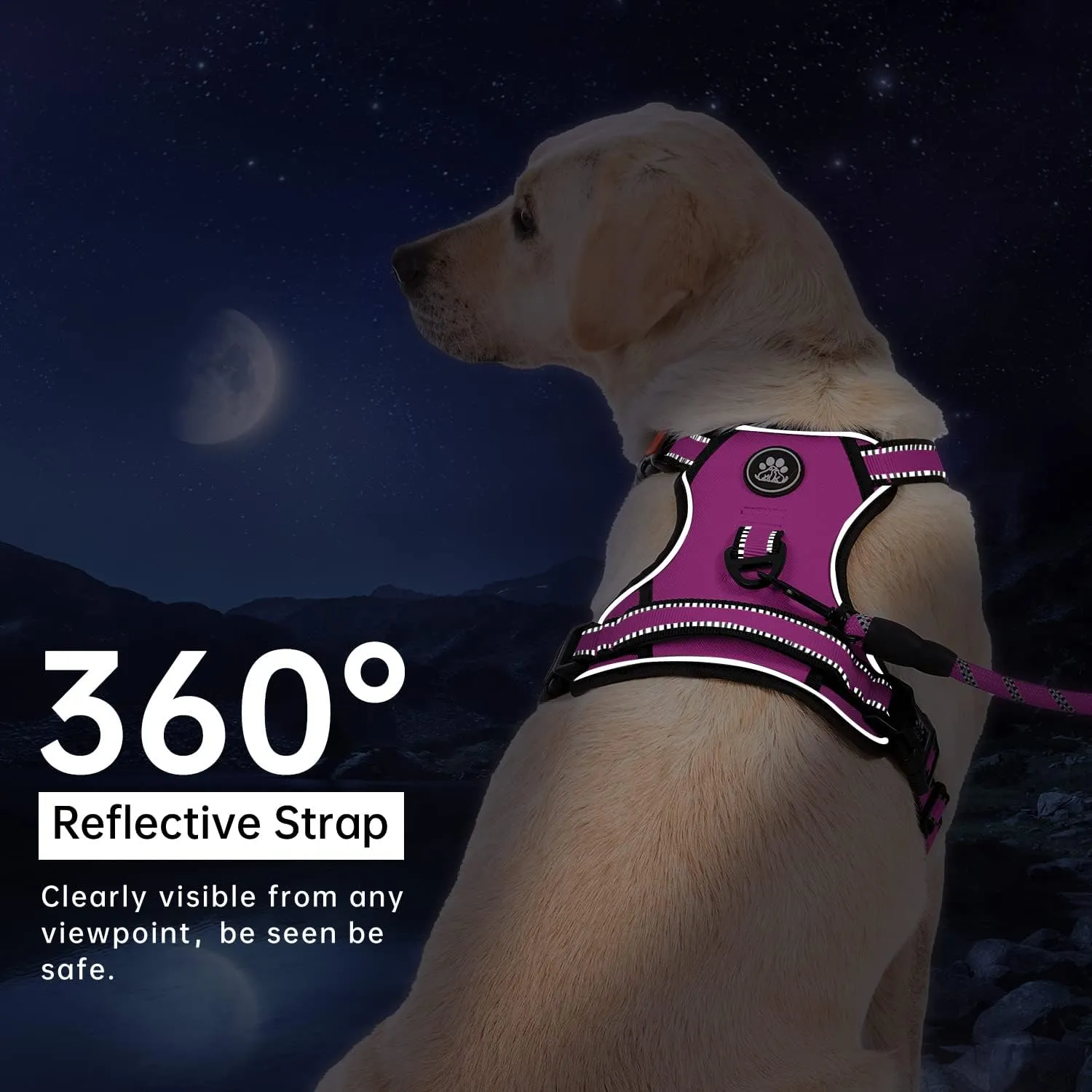 IVY&LANE No Pull Dog Harness for Medium Dogs,Dog Vest Harness with Leash,Safety Belt and Storage Strap, Fully Adjustable Harness,360 Reflective Strip,Soft Handle (Fuchsia Pink,M)