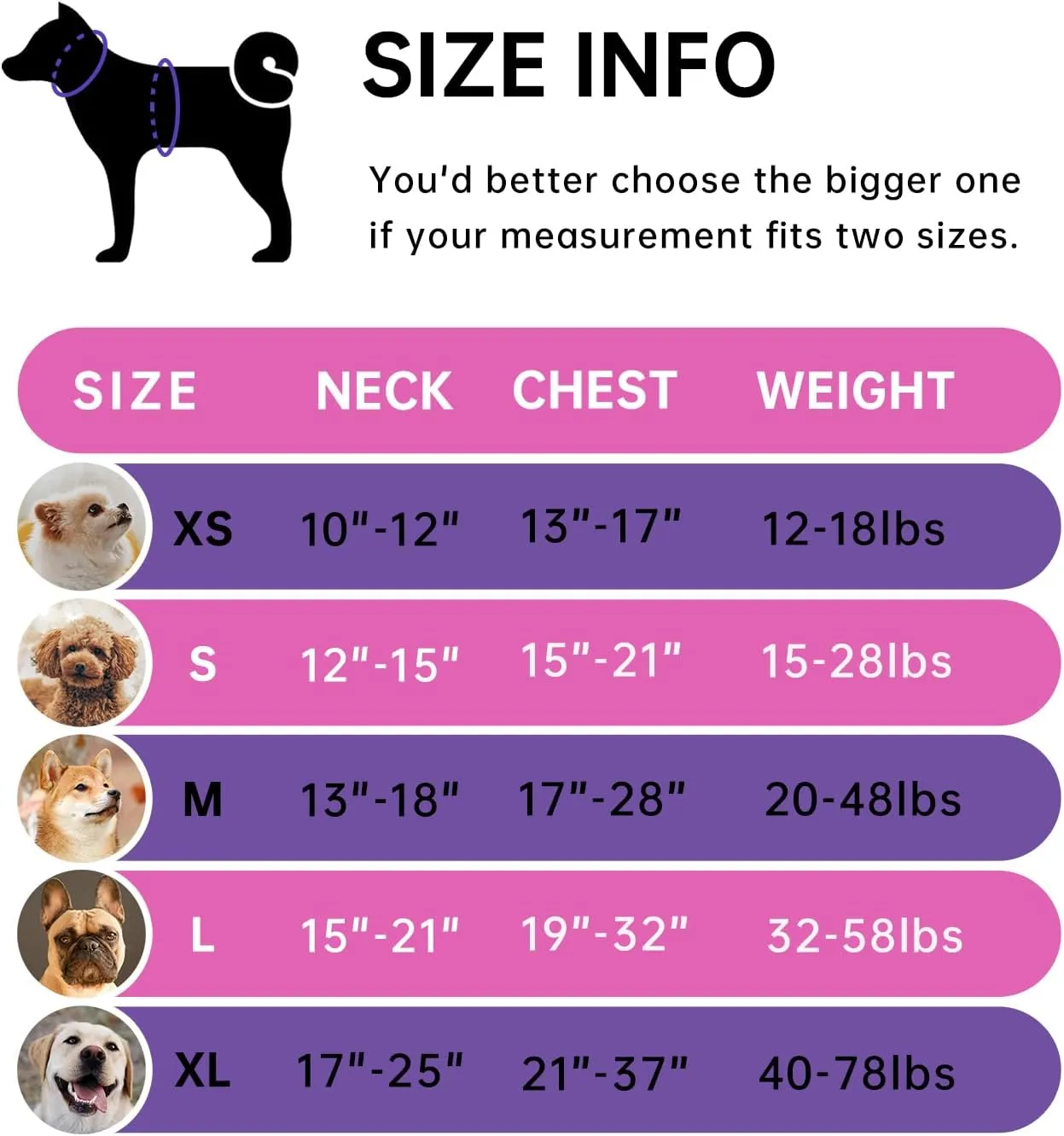 IVY&LANE No Pull Dog Harness for Medium Dogs,Dog Vest Harness with Leash,Safety Belt and Storage Strap, Fully Adjustable Harness,360 Reflective Strip,Soft Handle (Fuchsia Pink,M)