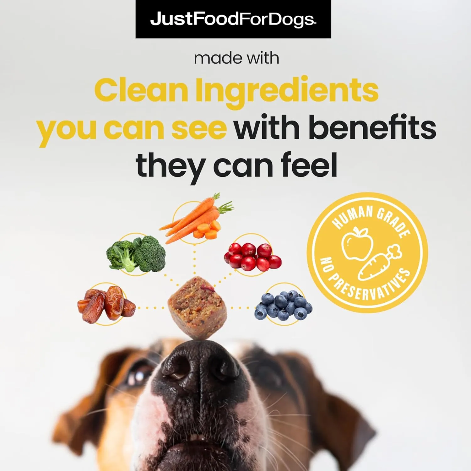 JustFoodForDogs Hip   Joint Soft Chews Mobility Supplement for Dogs with Glucosamine and Chondroitin, Superfood Blend, Human Grade, Plant-Based - 45 Count