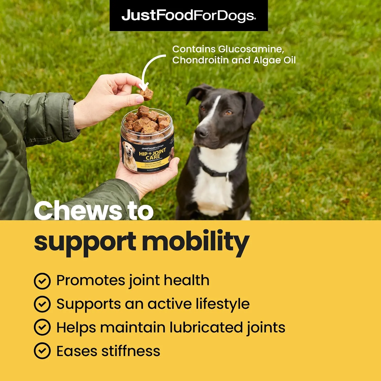 JustFoodForDogs Hip   Joint Soft Chews Mobility Supplement for Dogs with Glucosamine and Chondroitin, Superfood Blend, Human Grade, Plant-Based - 45 Count