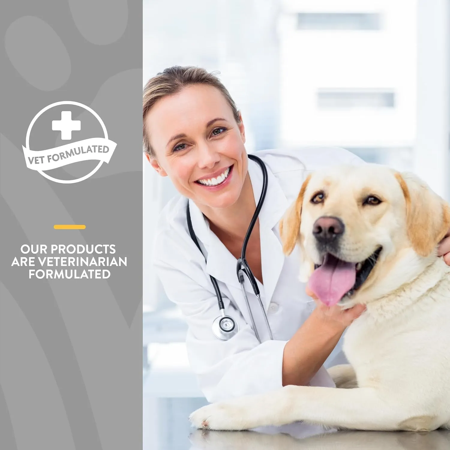 NaturVet  Senior Wellness Hip & Joint Advanced Plus Omegas | Help Support Your Pets Healthy Hip & Joint Function | Supports Joints, Cartilage & Connective Tissues | 120 Soft Chews