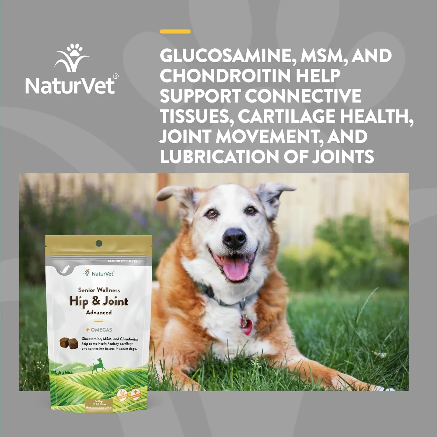 NaturVet  Senior Wellness Hip & Joint Advanced Plus Omegas | Help Support Your Pets Healthy Hip & Joint Function | Supports Joints, Cartilage & Connective Tissues | 120 Soft Chews