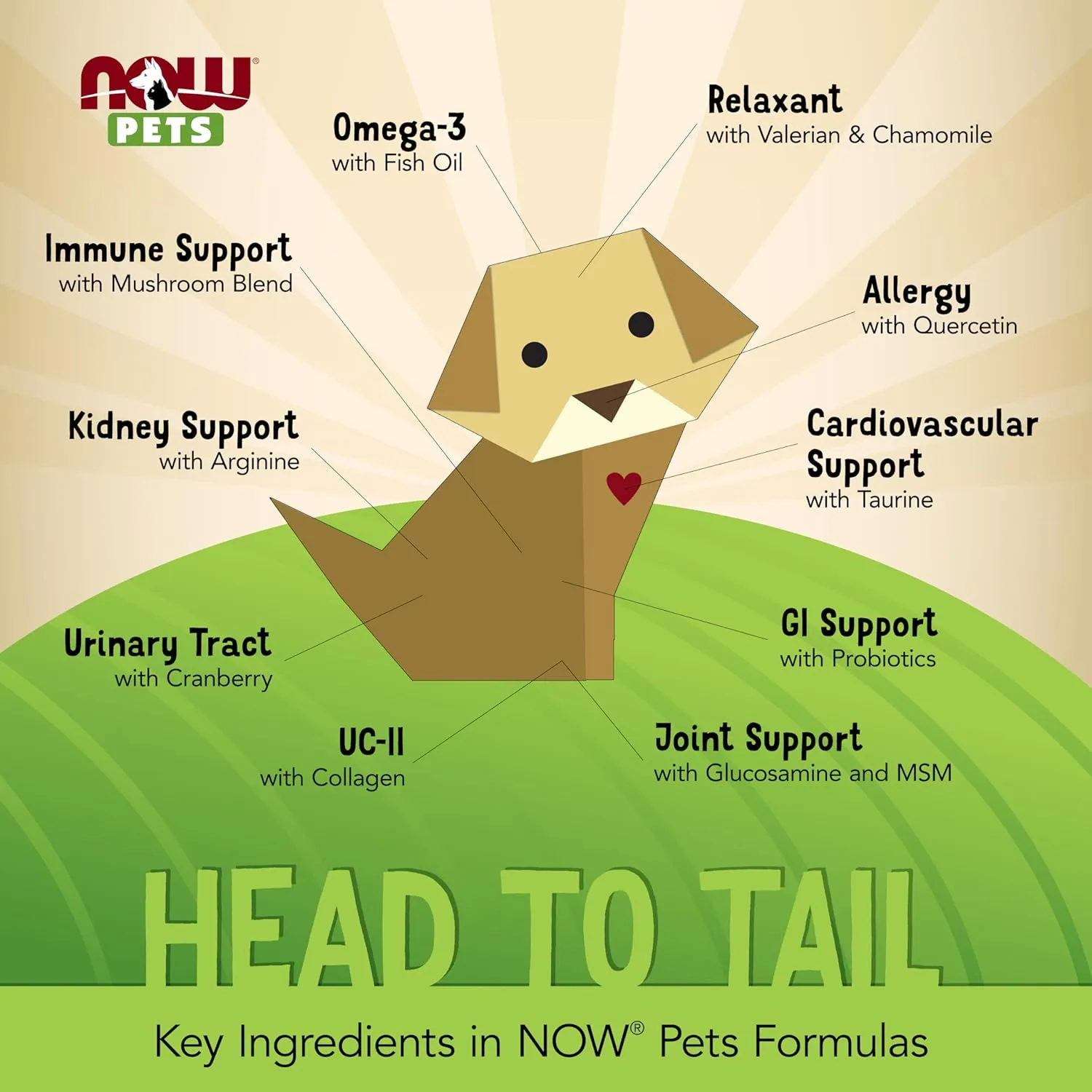 NOW Foods Pet Health, Joint Support Supplement, Formulated for Cats & Dogs, NASC Certified, 90 Chewable Tablets