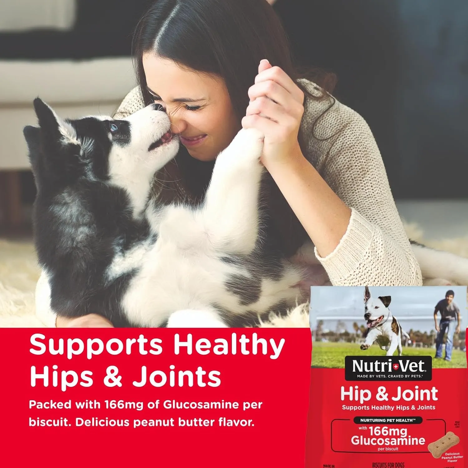 Nutri-Vet Hip & Joint Biscuits for Dogs, Dog Hip & Joint Supplement, Functional Treat, Small Sized Biscuit, 166mg Glucosamine, 16 oz Bag