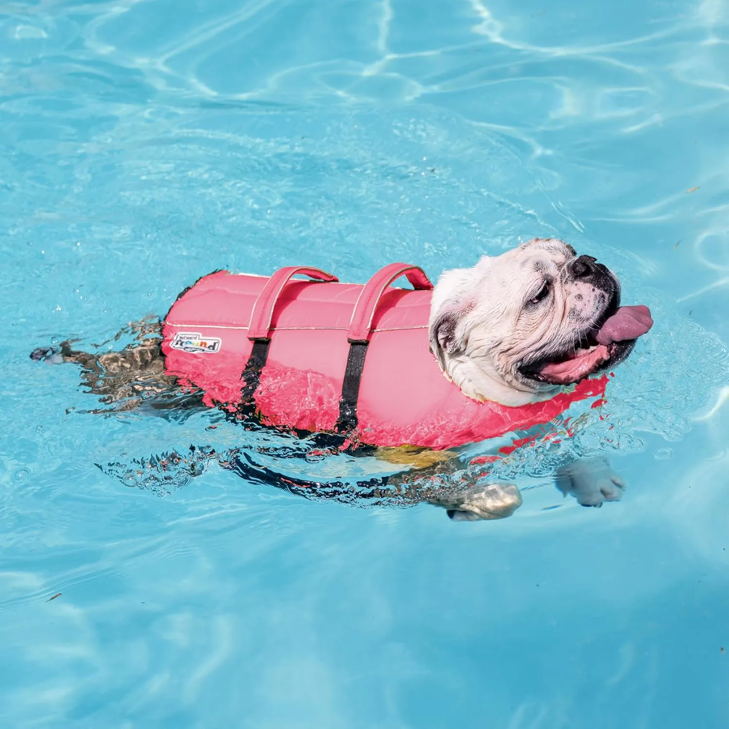 Outward Hound Granby Splash Dog Life Jacket, High-Buoyancy Dog Life Vest for Swimming, Boating, and Water Safety, Small, Pink
