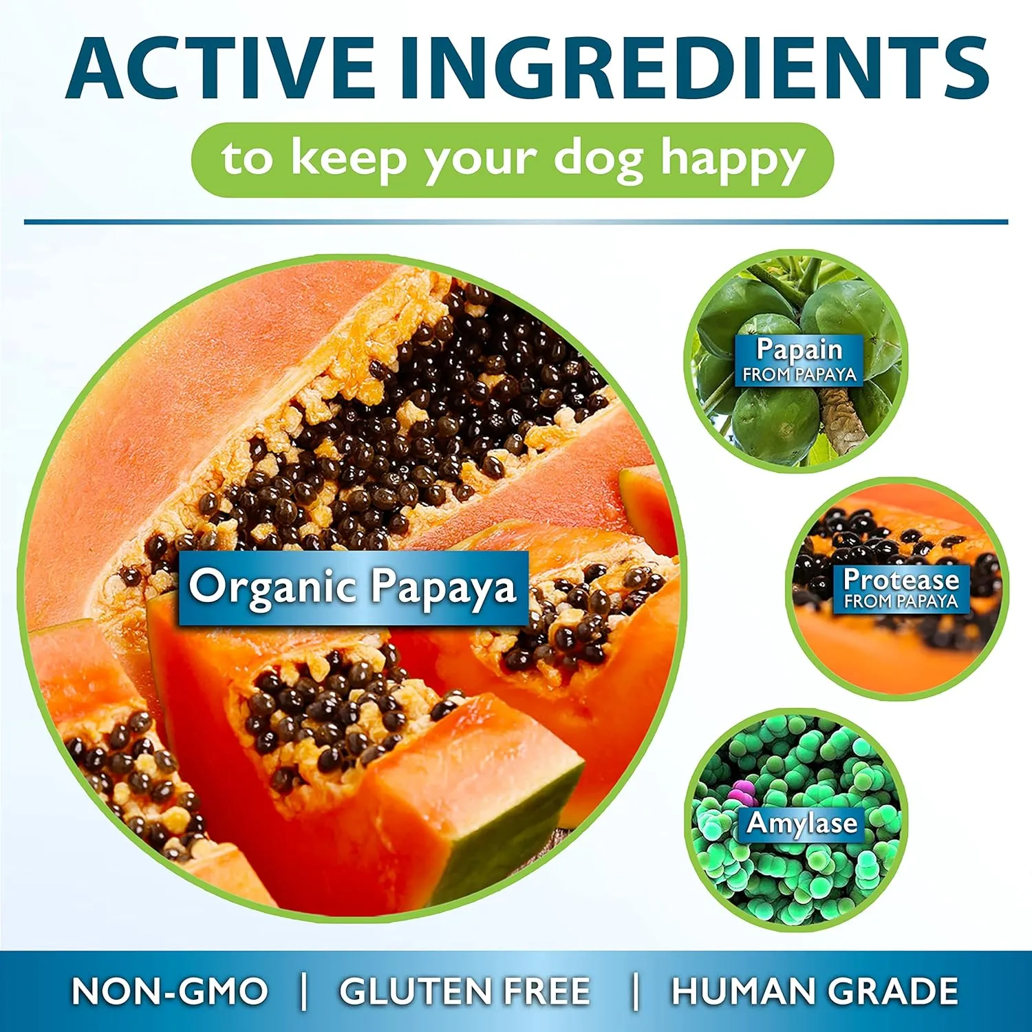 Papaya for Dogs Digestive Enzyme Complex to Support Normal Intestinal Function, Boost Immunity, with Organic Papaya Fruit   Papain, Protease & Amylase, 90 Soft Chews