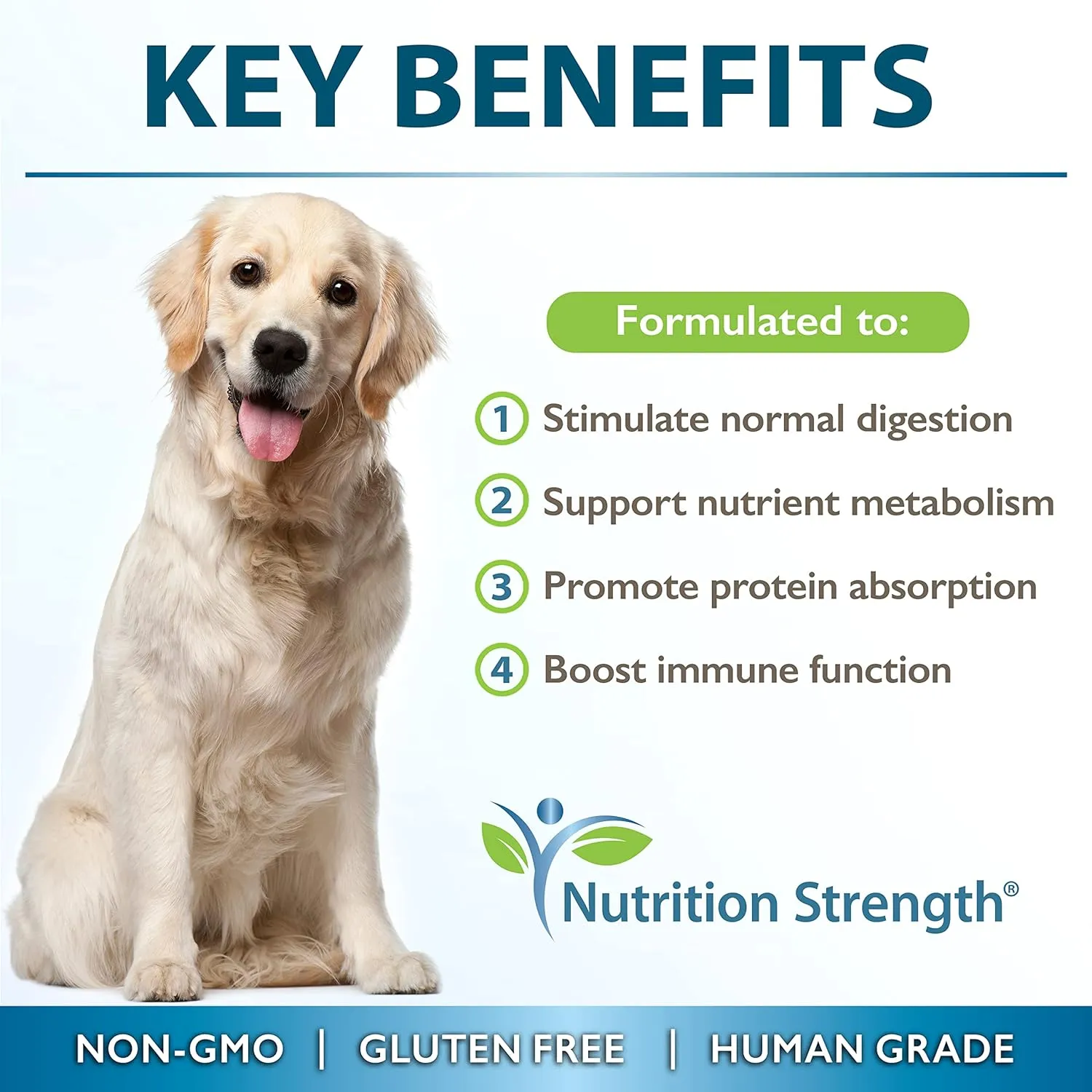 Papaya for Dogs Digestive Enzyme Complex to Support Normal Intestinal Function, Boost Immunity, with Organic Papaya Fruit   Papain, Protease & Amylase, 90 Soft Chews