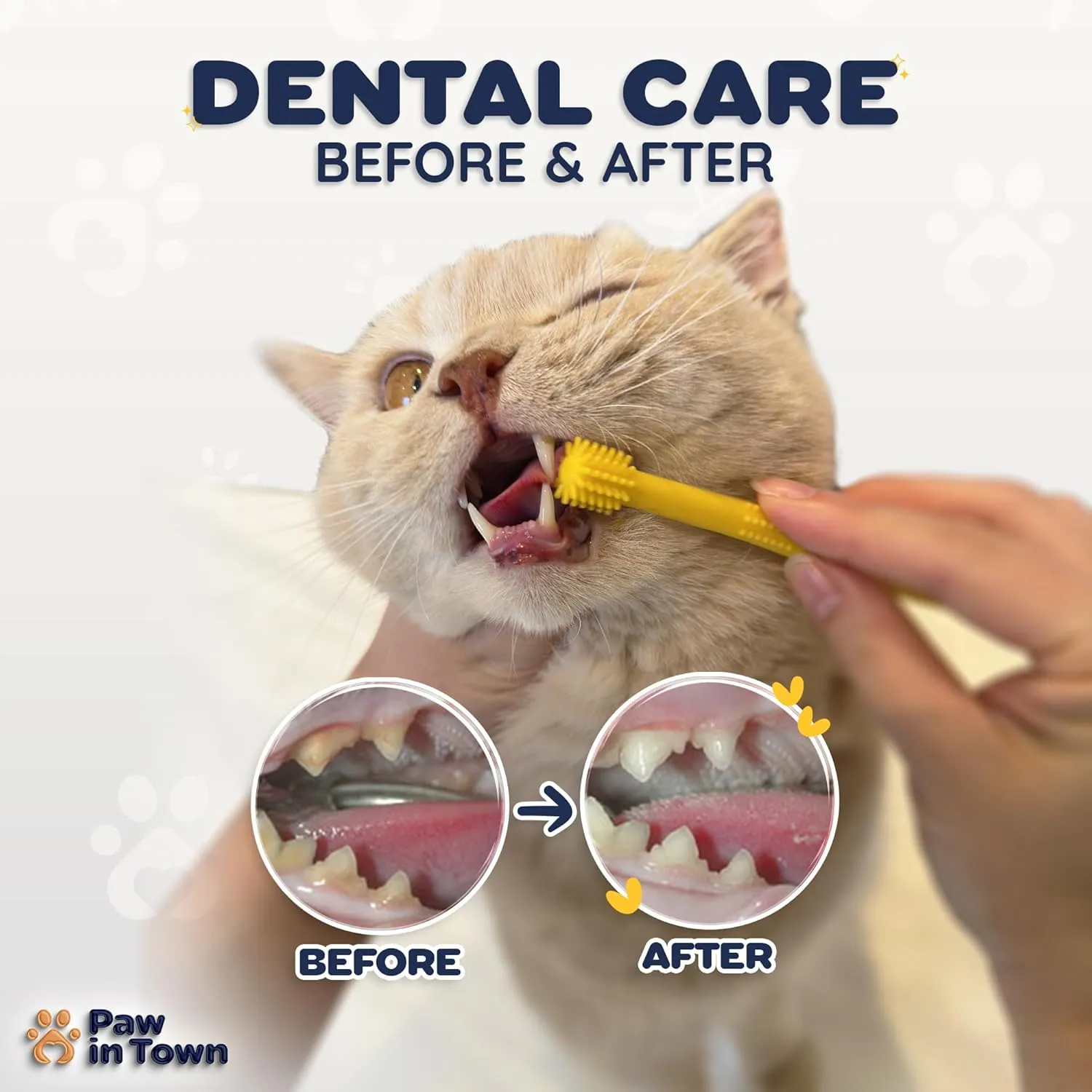 PAWINTOWN Soft Cat Toothbrush Set  Suitable for Dogs  Food Grade Silicone  Dental Care, Teeth Cleaning, Tooth Brushing Kit (Amethyst Aura)