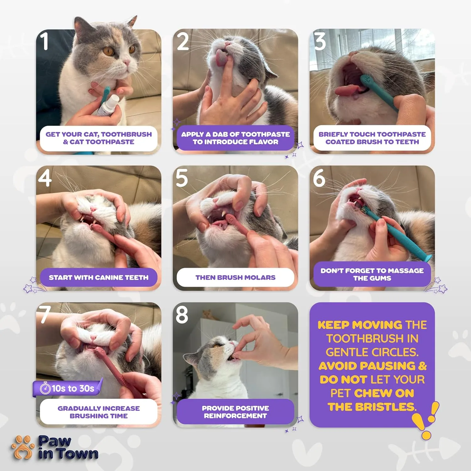PAWINTOWN Soft Cat Toothbrush Set  Suitable for Dogs  Food Grade Silicone  Dental Care, Teeth Cleaning, Tooth Brushing Kit (Amethyst Aura)