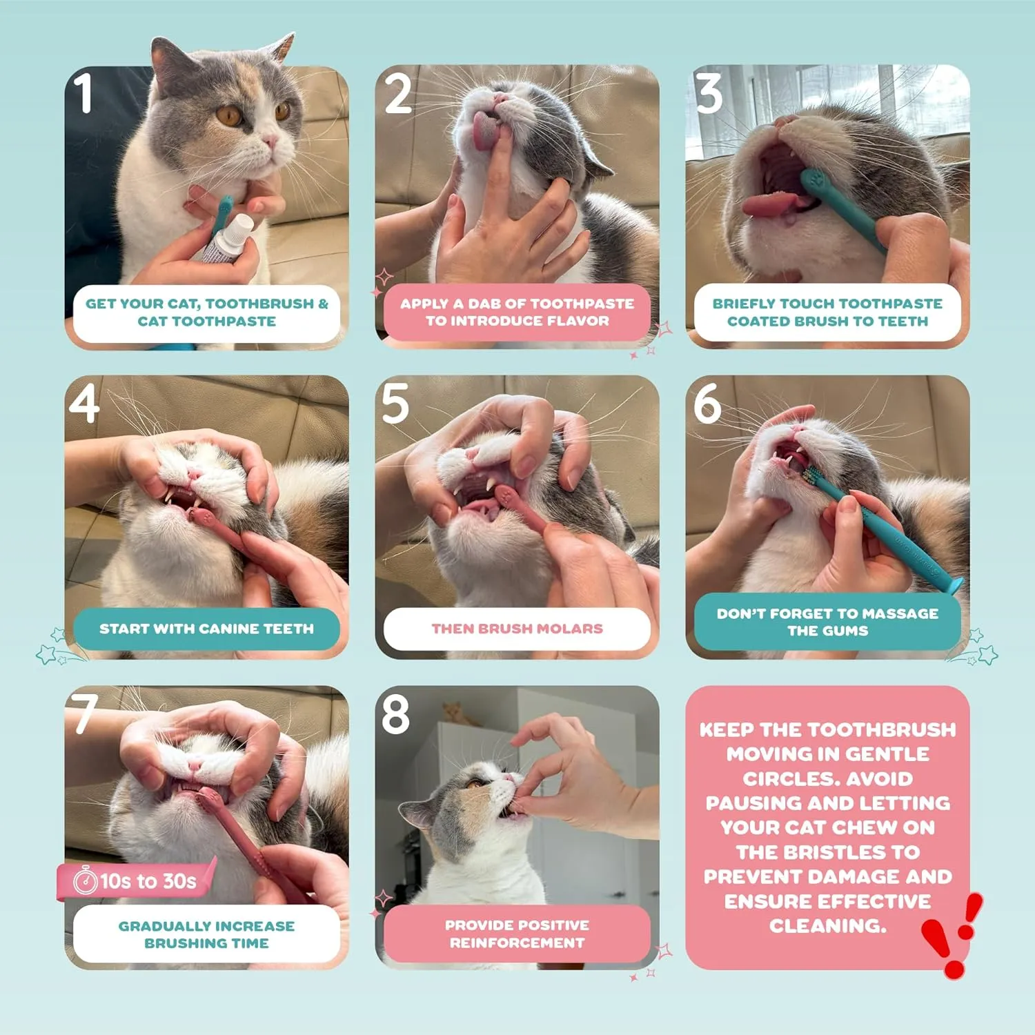 PAWINTOWN Soft Cat Toothbrush Set  Suitable for Dogs  Food Grade Silicone  Dental Care, Teeth Cleaning, Tooth Brushing Kit (Blushing Flamingo)