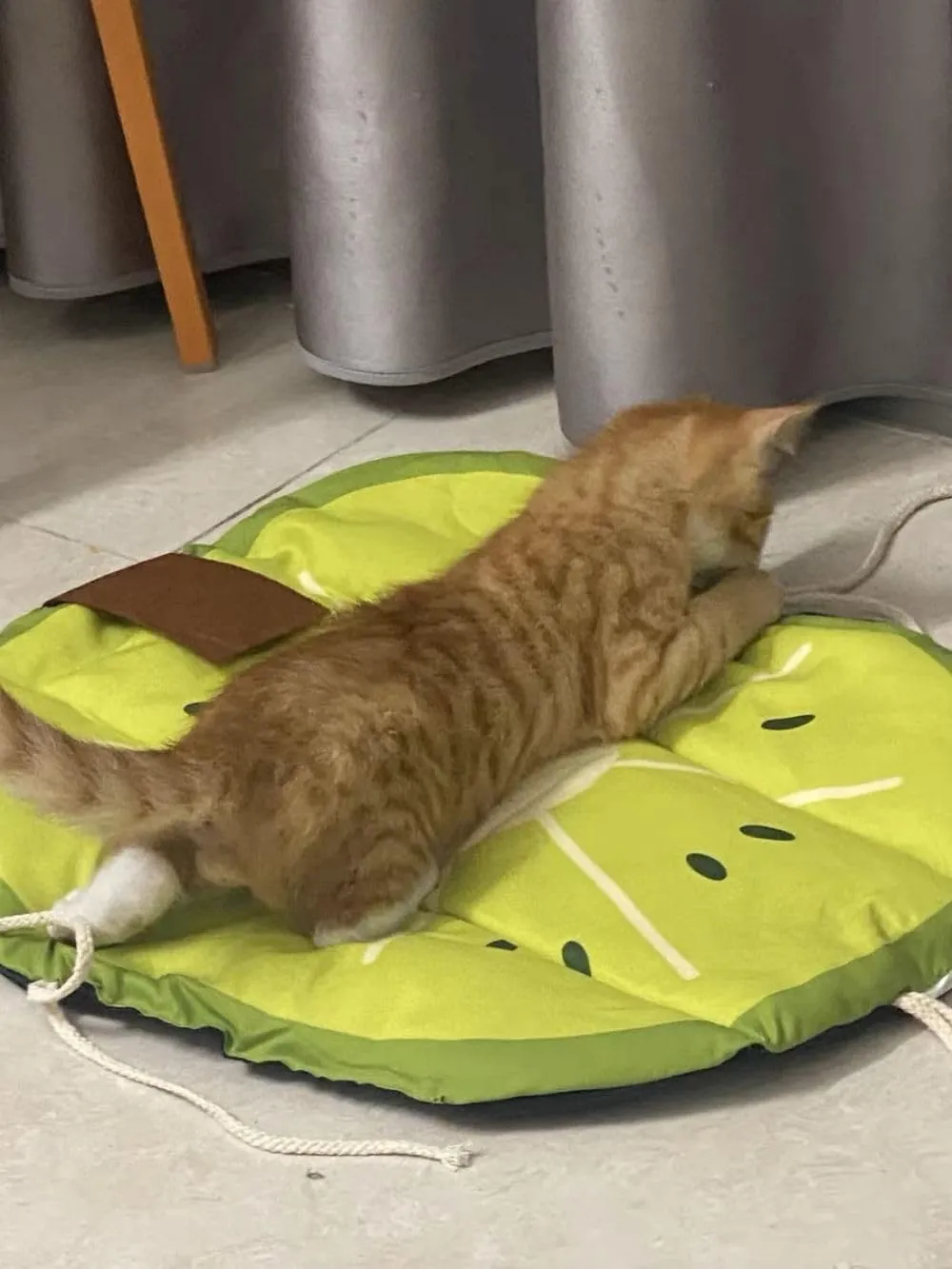 Pet Cooling Mat with Fruit Pattern for Summer,Cooling Pad for Cats and Small Dogs,Washable Pet Cooling Mat for Kennel Floor Car Seat Universal for All Seasons(Kiwi)