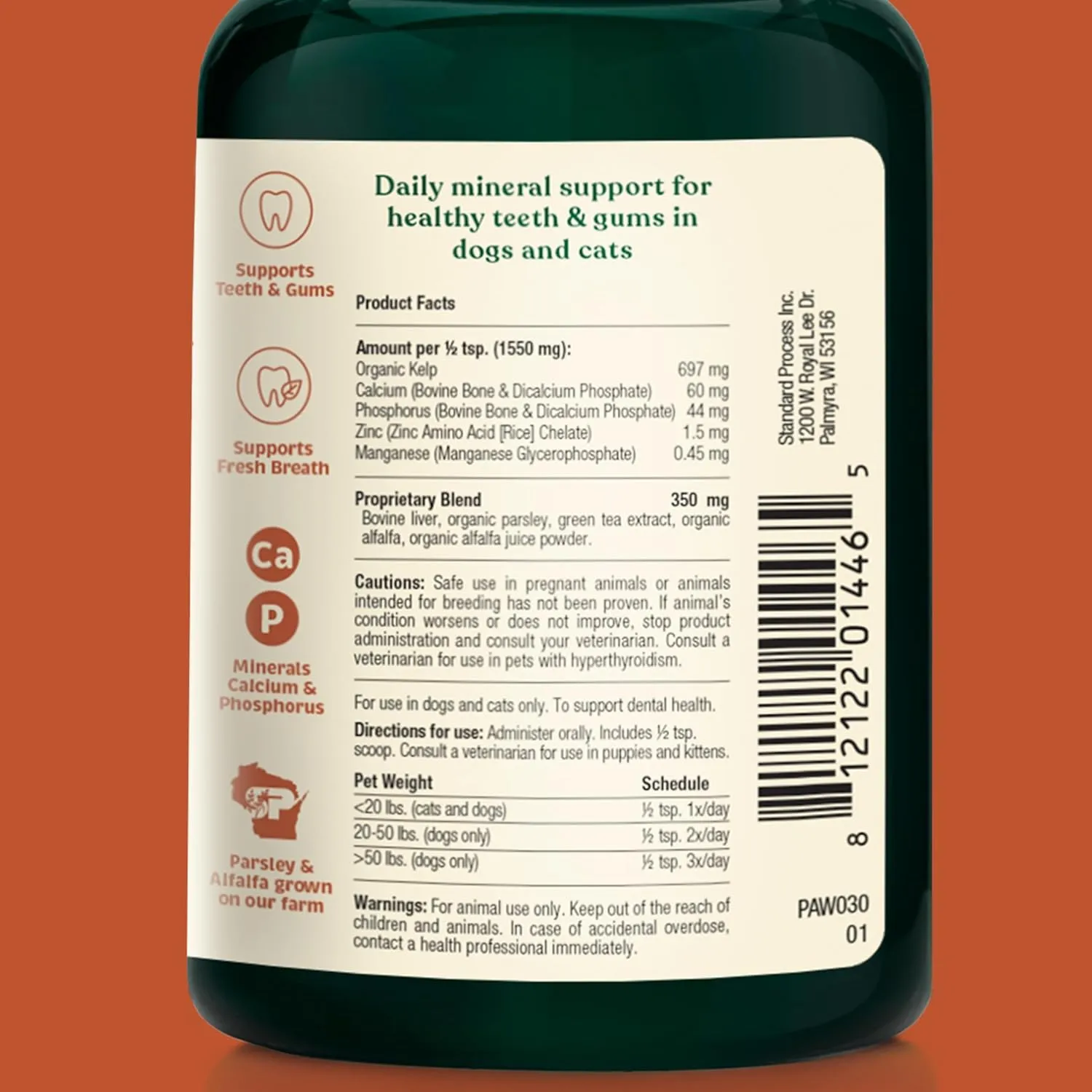 Pet Wellness Bundle - Dental & Probiotic Support for Cats and Dogs - Teeth Powder & Gut Health Capsules for Oral and Digestive Health - 165 g Powder & 90 Capsules