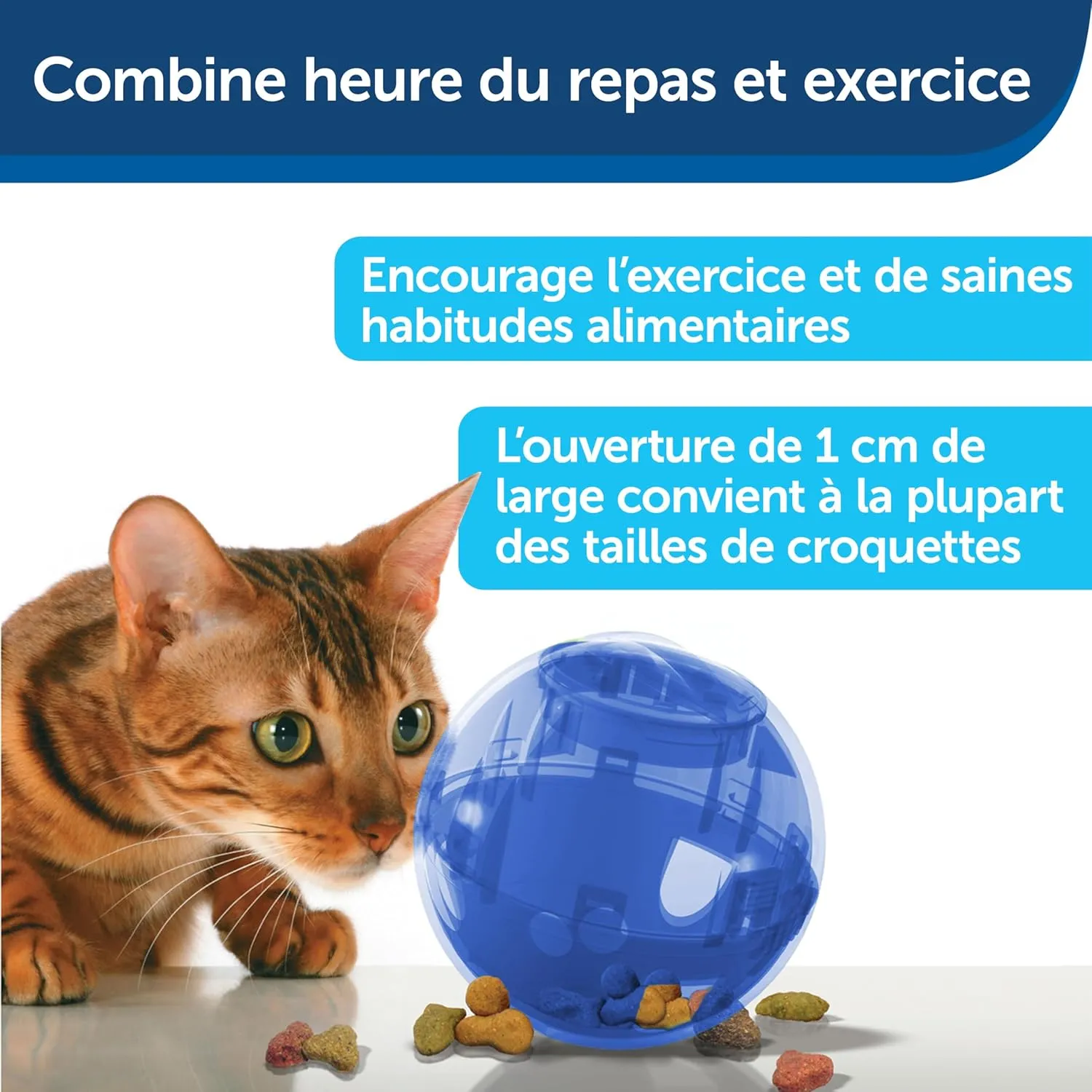 PetSafe Slimcat Slow Feeder Ball for Cats - Interactive Puzzle Game for Your Cat - Fill with Food and Treats - Great for Indoor Play for Kittens and Adult Cats, Portion Control and Fast Eaters (Blue)