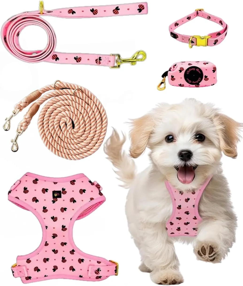 Premium No-Pull Dog Harness 5-Piece Set with Matching Hands Free Rope Leash, Collar, Leash & Poop Bag Dispenser (Small, 5.5-14.5 Lbs, Pink)
