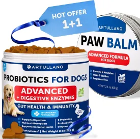 Probiotics for Dogs   Dog Paw Balm Bundle - Dog Probiotics and Digestive Enzymes with Prebiotics for Gut Health Support, Itchy Skin, Allergies, Immunity, Yeast Balance - Dog Paw Pad Balm Protector - N