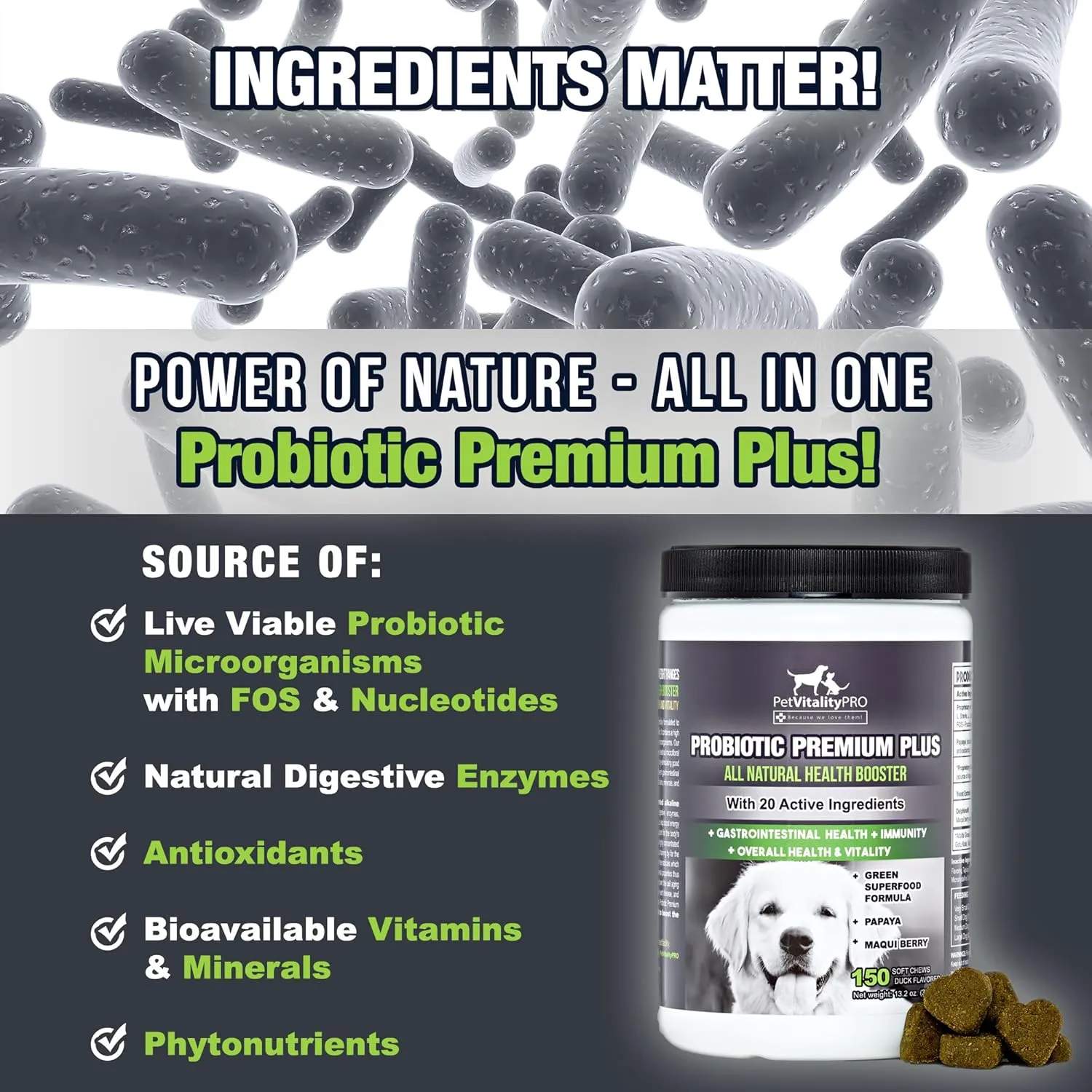 Probiotics for Dogs with Natural Digestive Enzymes  4 Bill CFUs/2 Soft Chews  Dog Diarrhea Upset Stomach Yeast Gas Bad Breath Immunity Allergies Skin Itching Hot Spots  150 Count