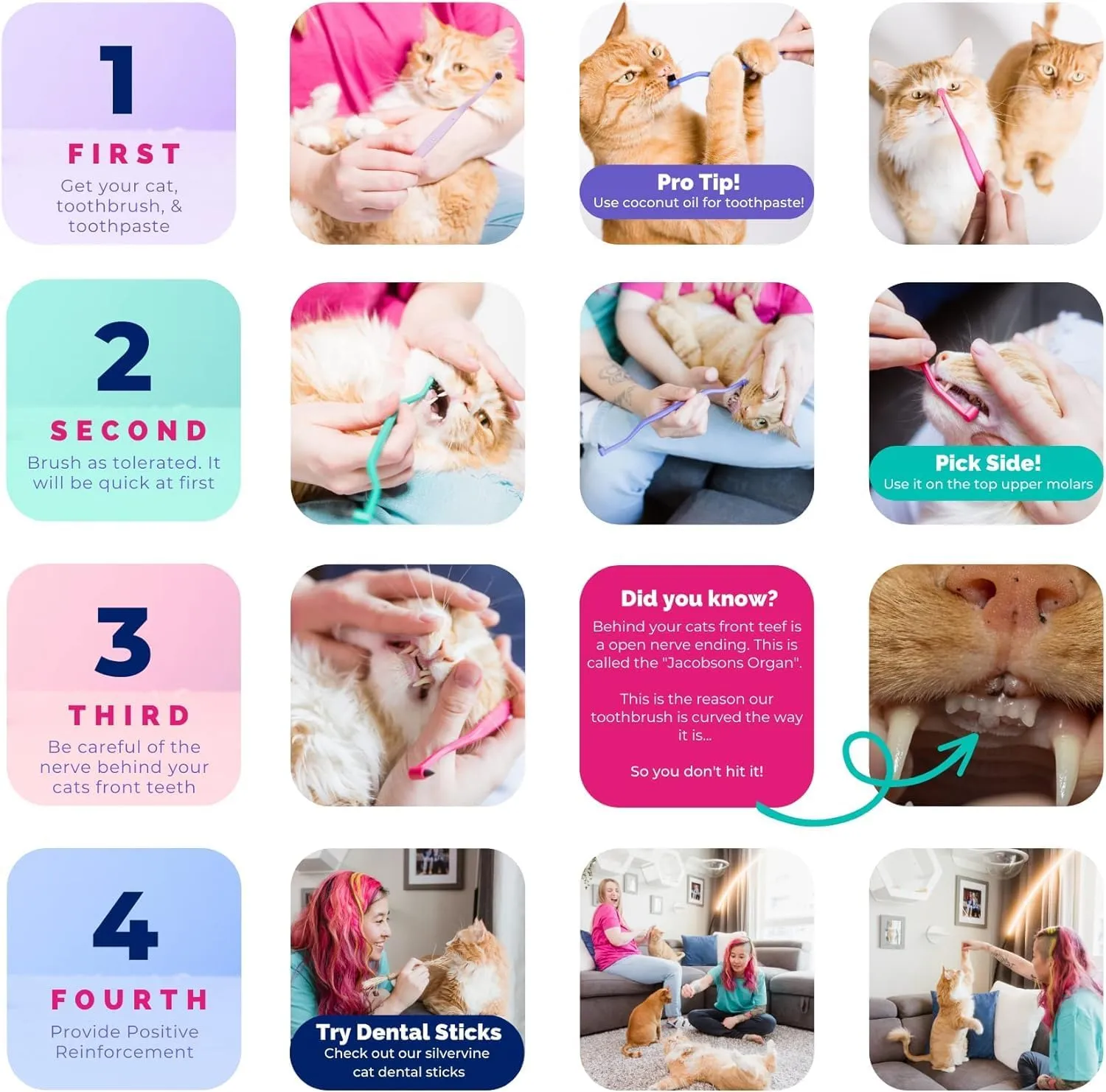 RYERCAT Dual-Sided Cat Toothbrush  Gentle Care for Your Kittens Smile! Micro Head for Easy Cleaning & Healthy (Shamrock)