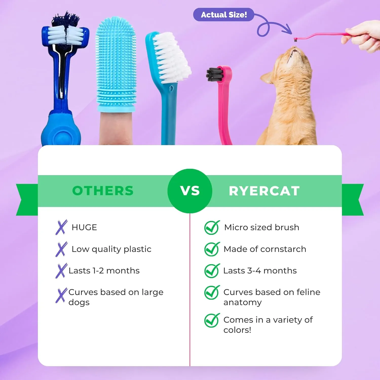 RYERCAT Dual-Sided Cat Toothbrush  Gentle Care for Your Kittens Smile! Micro Head for Easy Cleaning & Healthy (Shamrock)