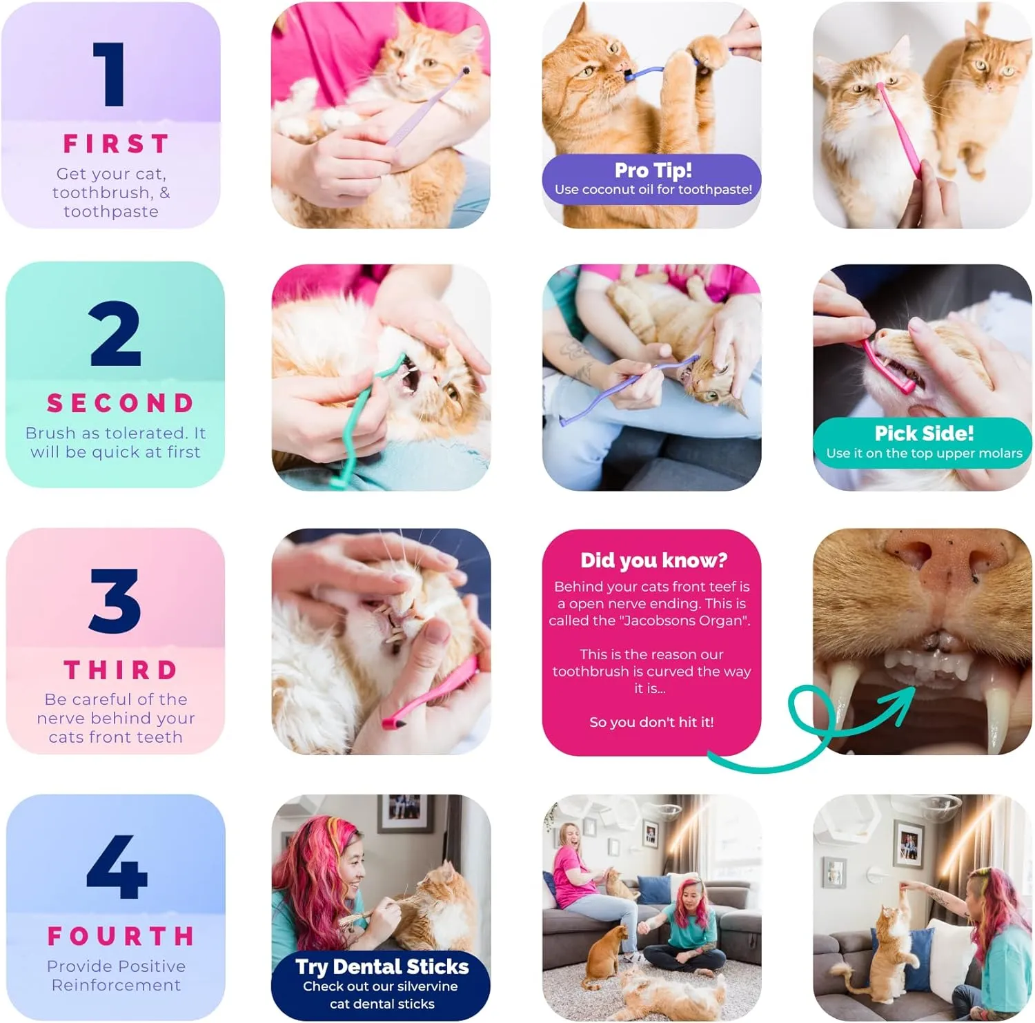 RYERCAT Dual Sided Cat Toothbrush - Kitten Toothbrush with Micro Head to fit into Cat/Kittens Mouth - Cat Dental Care Supplies - Pet Toothbrush for Cats (Flamingo Pink)