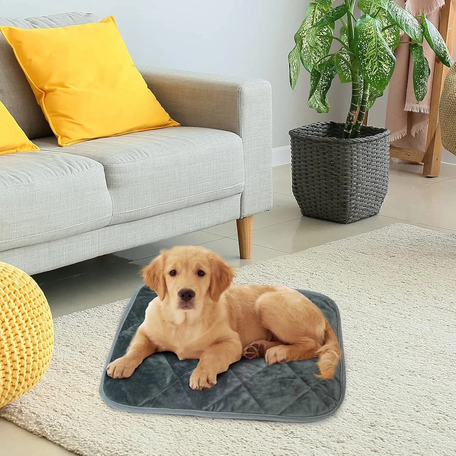 Self-Warming Cat Bed Indoor/Outdoor Super Soft Self Heating Pet Mat Washable Thermal Pad for Cat & Dog 21x15.7 inch