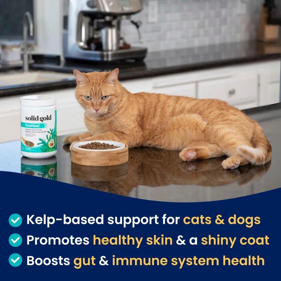 Solid Gold Dog & Cat Vitamin Supplements - Kelp Powder, Omega 3, Vitamins, Digestive Enzymes, Immune Support - 1 LB