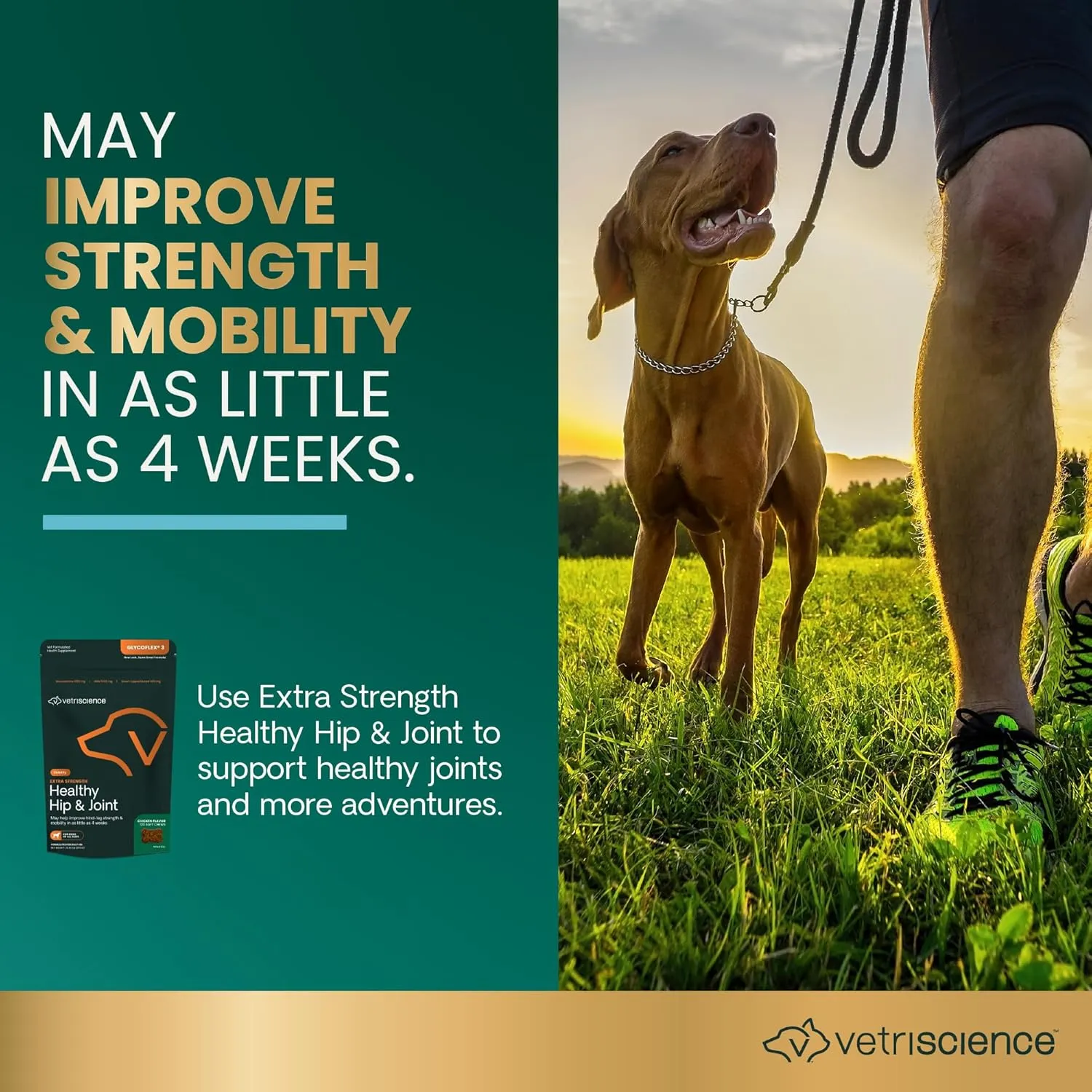 VetriScience Extra Strength Healthy Hip & Joint Chews, GlycoFlex Glucosamine & Green-Lipped Mussel Joint Support Supplement for Dogs, Promote Mobility & Soothe Joint Discomfort, Chicken, 120 Count