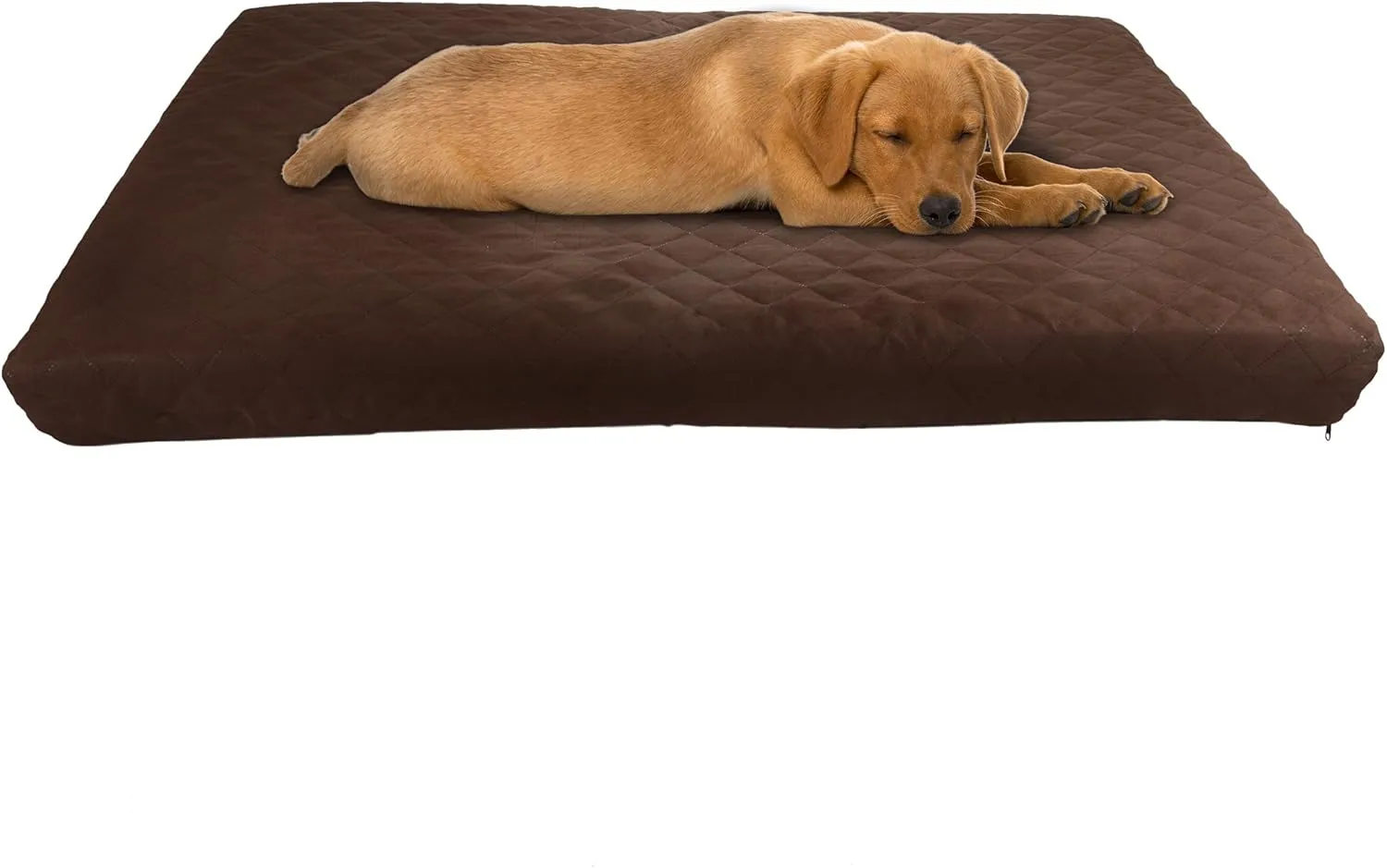 Water-Resistant Dog Bed - 2-Layer Memory Foam Dog Bed with Removable Washable Cover and Non-Slip Bottom