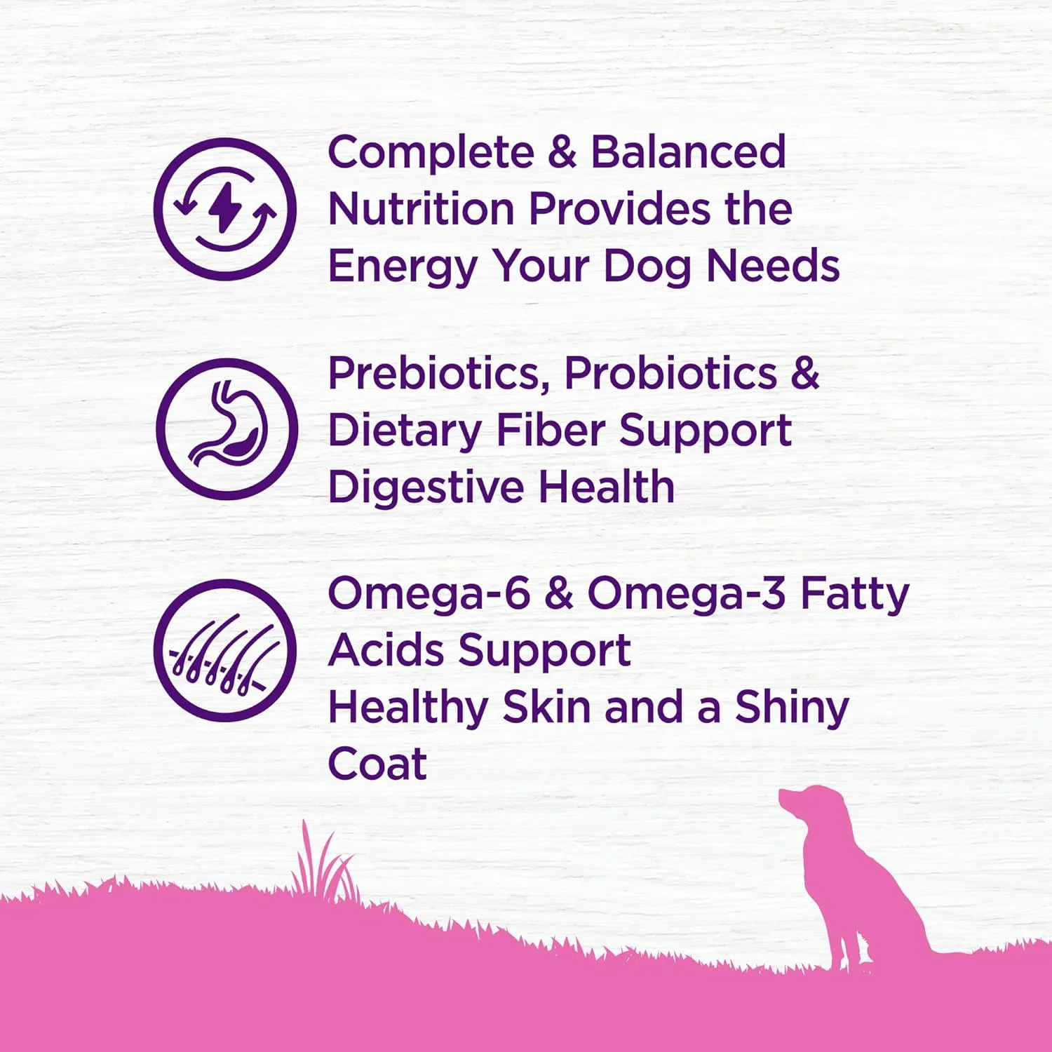 Wellness Complete Health Dry Dog Food for Small Dogs, Toy Breed, Wholesome Grains, Natural, Chicken, Brown Rice, & Peas Recipe, 4-Pound Bag)