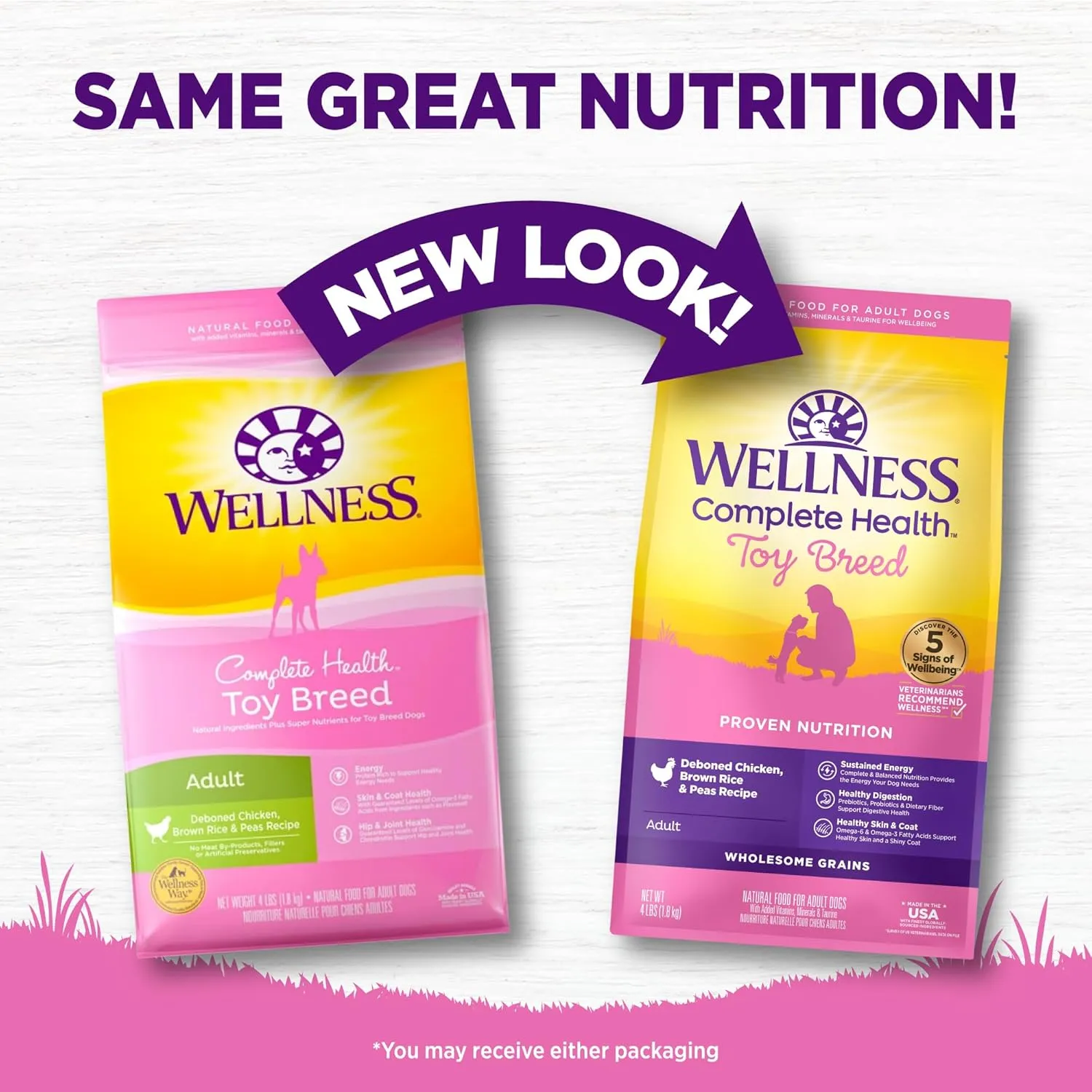 Wellness Complete Health Dry Dog Food for Small Dogs, Toy Breed, Wholesome Grains, Natural, Chicken, Brown Rice, & Peas Recipe, 4-Pound Bag)