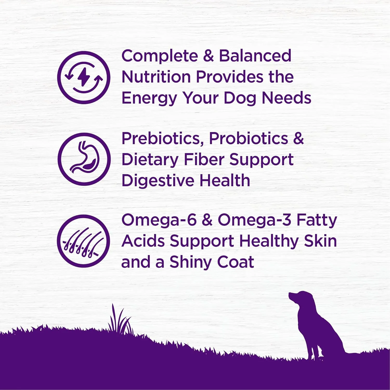 Wellness Complete Health Dry Dog Food, Grain Free, Natural, Chicken Recipe, (22-Pound Bag)