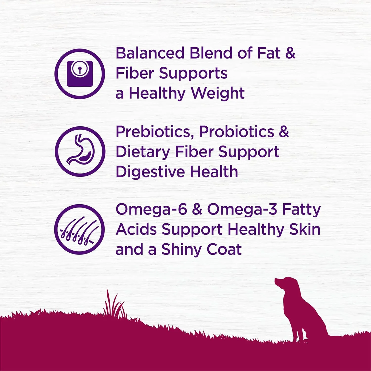Wellness Complete Health Dry Dog Food, Small Breed, Wholesome Grains, Natural, Healthy Weight Turkey & Brown Rice Recipe, (12-Pound Bag)