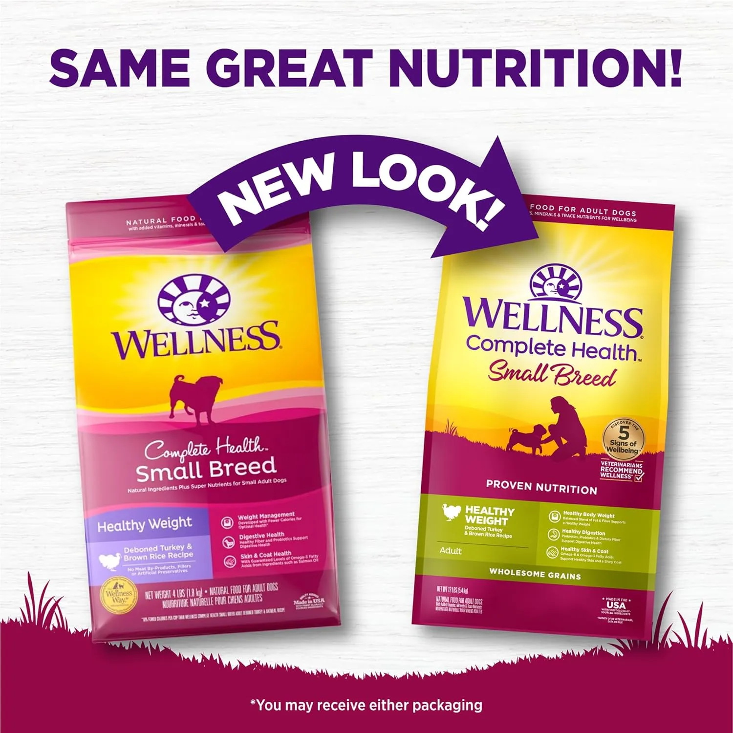 Wellness Complete Health Dry Dog Food, Small Breed, Wholesome Grains, Natural, Healthy Weight Turkey & Brown Rice Recipe, (12-Pound Bag)