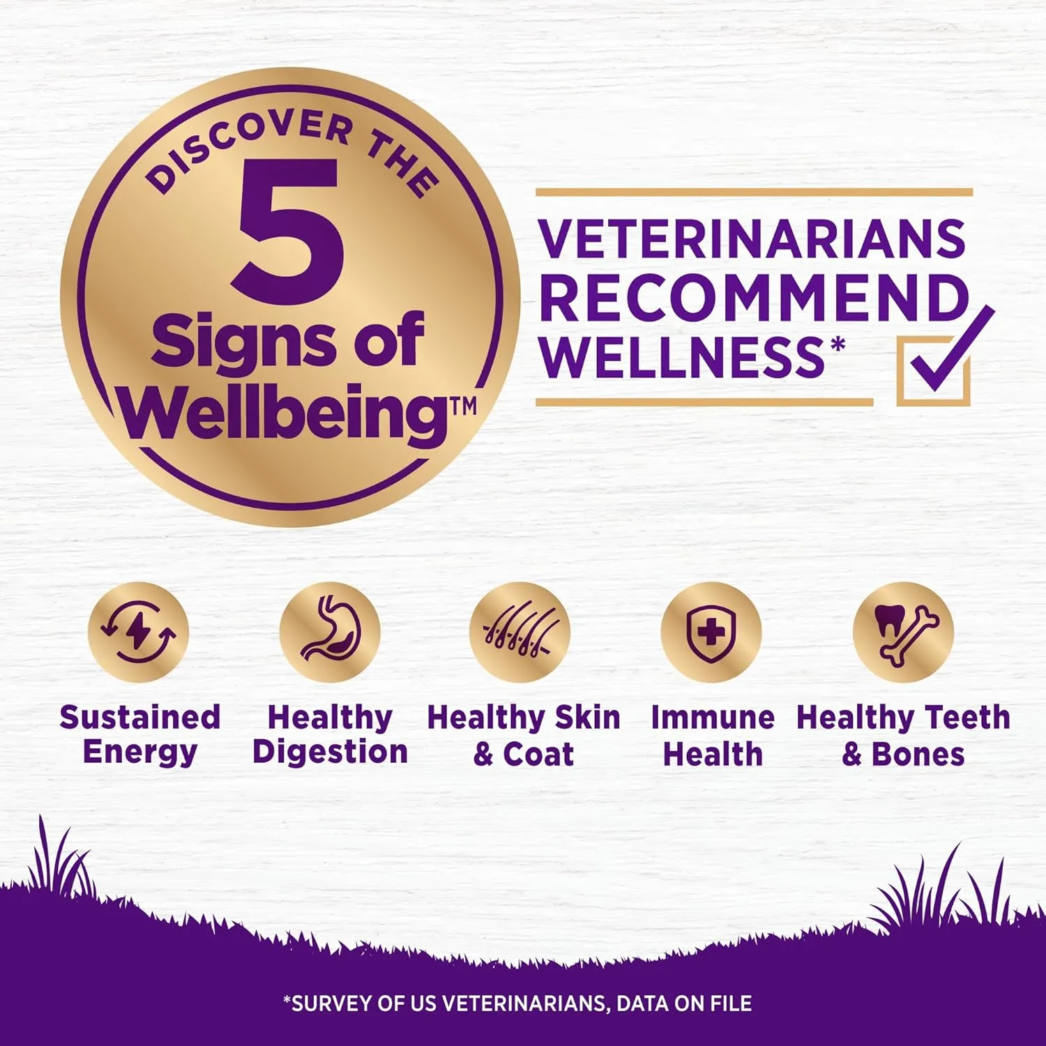 Wellness Complete Health Dry Dog Food, Wholesome Grains, Natural, Chicken & Oatmeal, (30-Pound Bag)