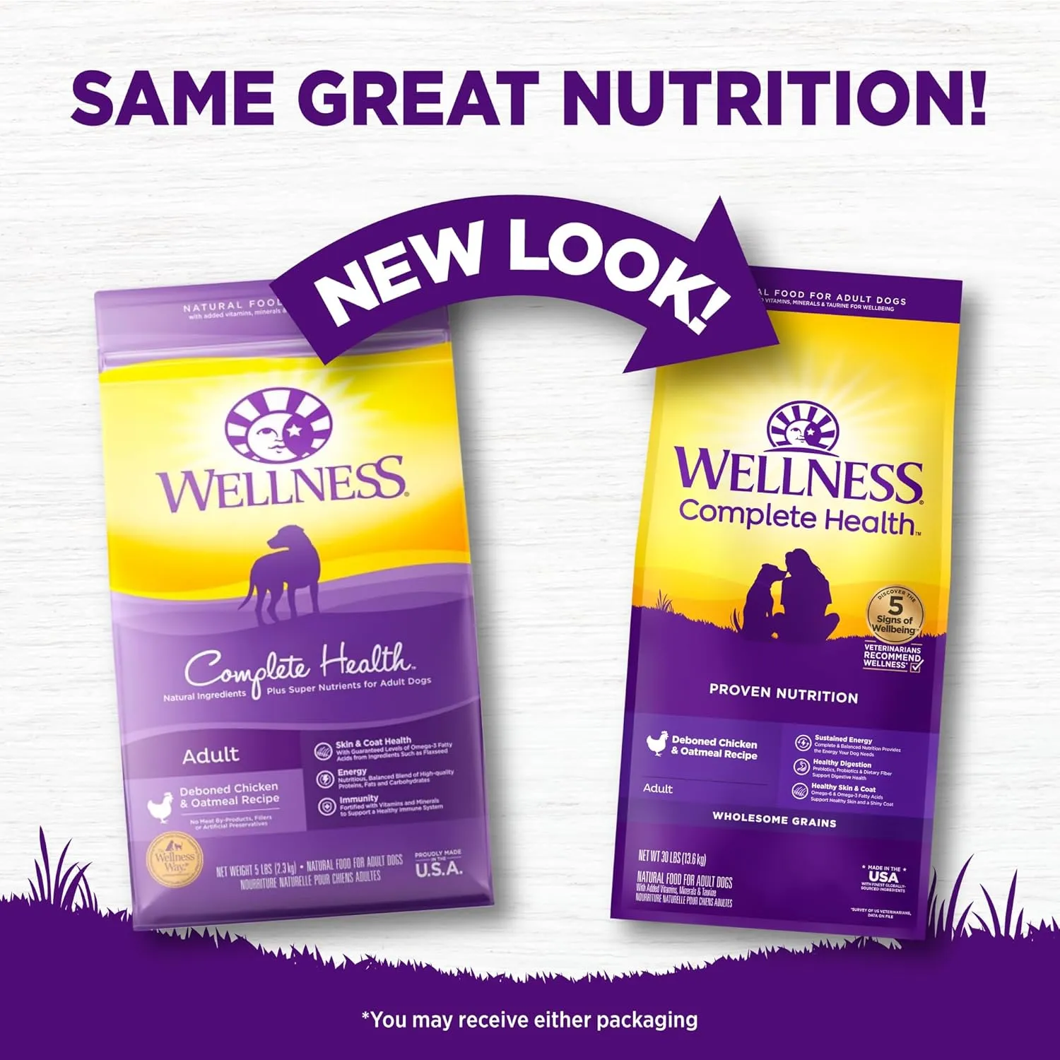 Wellness Complete Health Dry Dog Food, Wholesome Grains, Natural, Chicken & Oatmeal, (30-Pound Bag)