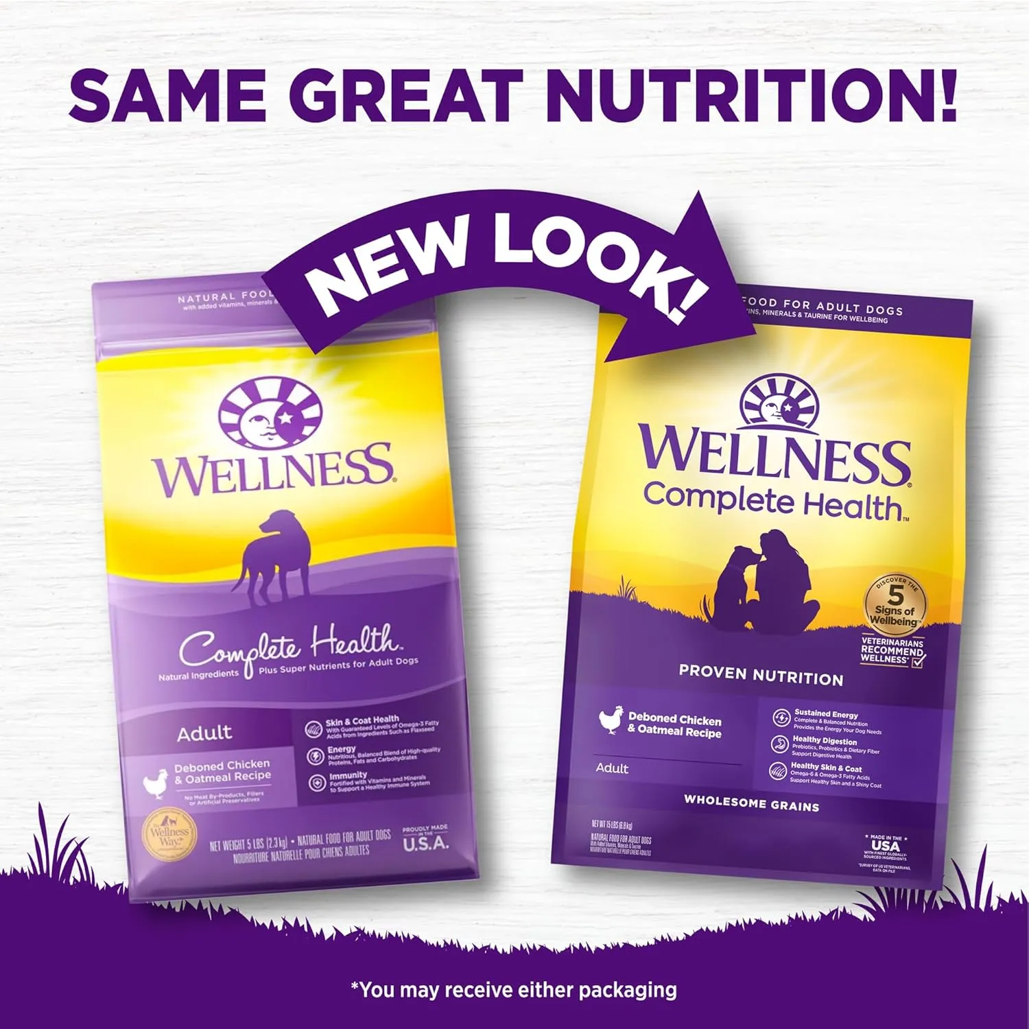 Wellness Complete Health Dry Dog Food, Wholesome Grains, Natural, Chicken & Oatmeal Recipe, (15-Pound Bag)